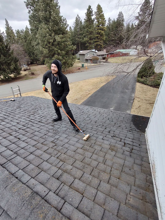 Roof Cleaning Services Near Me